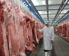 我想建個(gè)800噸肉類冷庫，一共需要多少錢