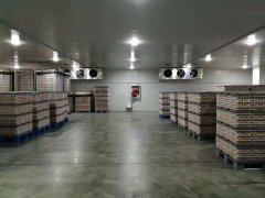 定制一個(gè)1000立方食品冷藏庫，需要多少錢？