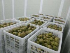 4000立方氣調冷庫安裝要多少錢？