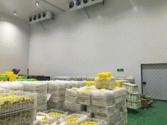 1000平方米果蔬冷庫安裝需要多少錢？