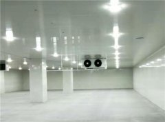 建個(gè)一萬(wàn)平出租型冷庫(kù)大概需要投資多少錢？