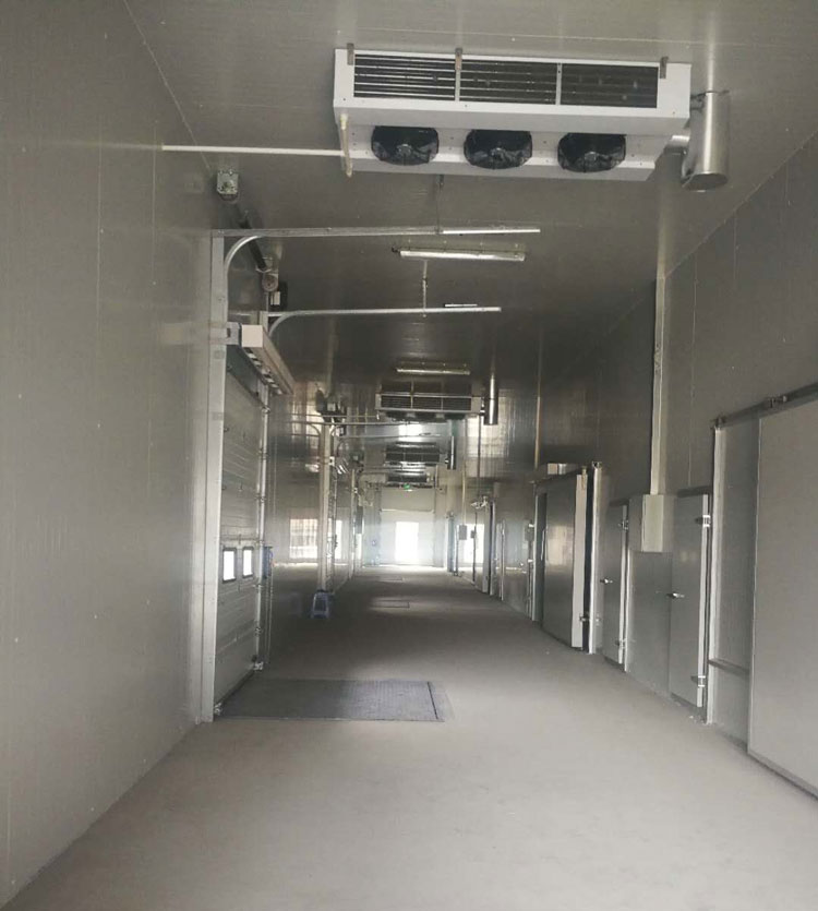 5000m3冷鏈物流工程建設(shè),低溫物流倉庫安裝制冷設(shè)備投資預(yù)算